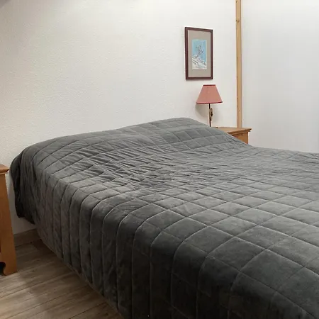 T2 Avec Vue Sur Les Montagnes Et Wifi Διαμέρισμα Laveissière